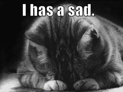 Sad Kitty